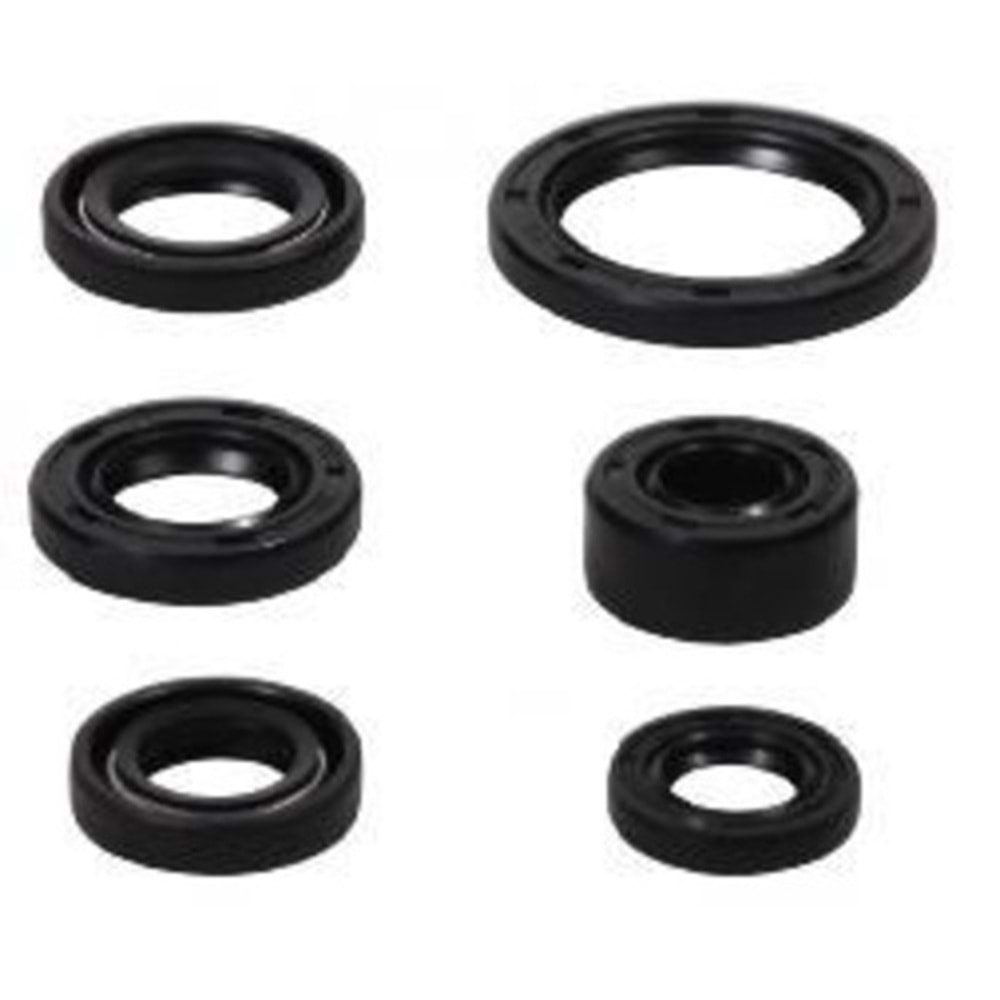 MOTOR KEÇE SETİ [6 LI SET] CUB 100