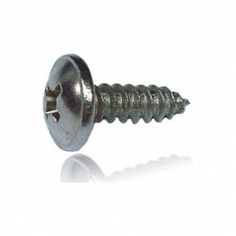 KLİPS VİDASI GALVANİZ BÜYÜK (4,8x13 mm) 100 ADET